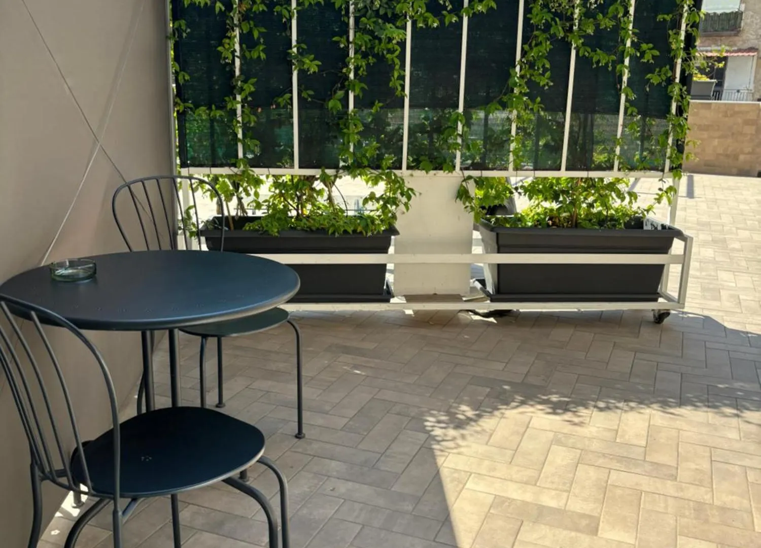 Pensión Hotel Terrazza Annunziata Nápoles