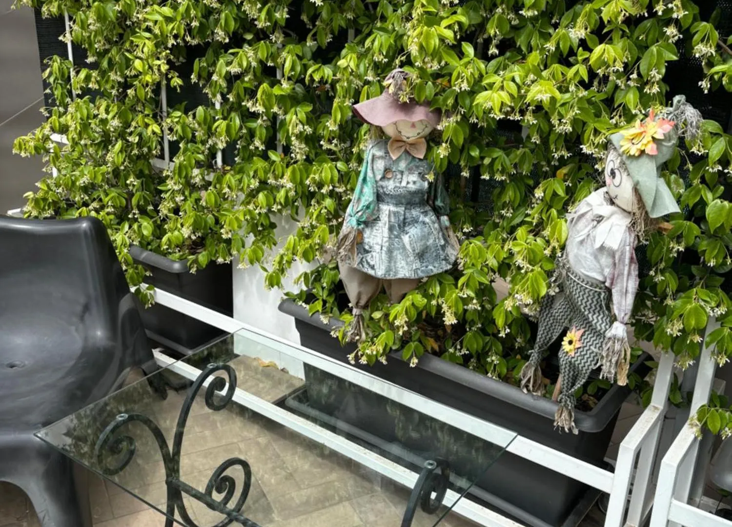 Pensión Hotel Terrazza Annunziata Nápoles Italia